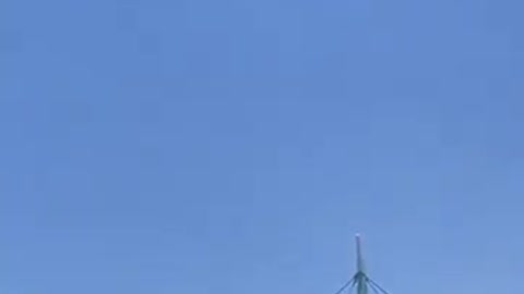 Falling cat caught in American flag at Hard Rock Stadium during Miami game.