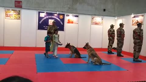 CISF demonstration dog squad