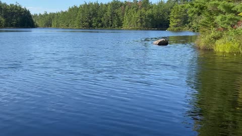 Shannon Lake On A #10 Highway