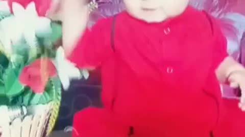 lovely Baby Funny kids