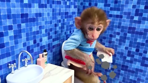 Monkey Baby Bon Bon buy toilet paper in the supermarket and plays with the Puppy So cute