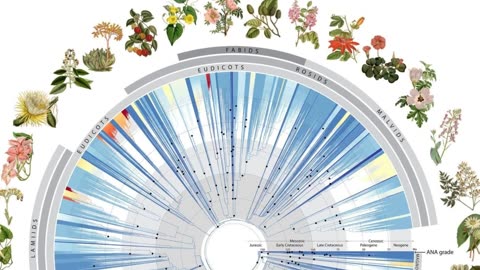 Biologists Construct Groundbreaking Tree of Life Using 1.8 Billion Letters of Genetic Code