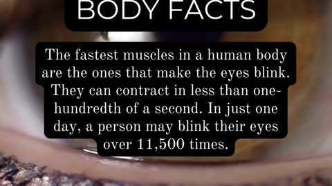 Fascinating Human Body Facts: Things You Never Knew