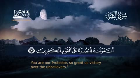 Surah Al‑Baqarah _ Mansour Al-Salmi