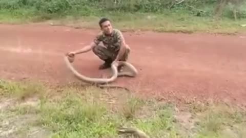 Soldier capturing 🐍 cobra