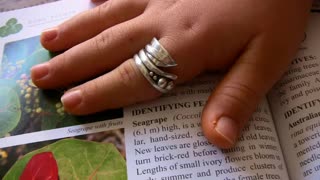 Hypoallergenic .999+ pure silver ring, seagrapes coastal Florida vegetation