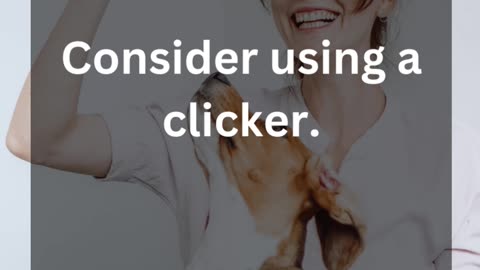 Clicker Magic: Turning Clicks into Canine Confidence!