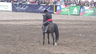 Cuadro Negro de Caballería del Ejército de Chile