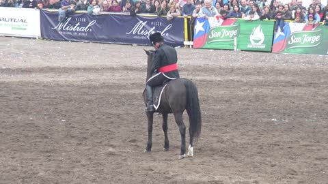 Cuadro Negro de Caballería del Ejército de Chile