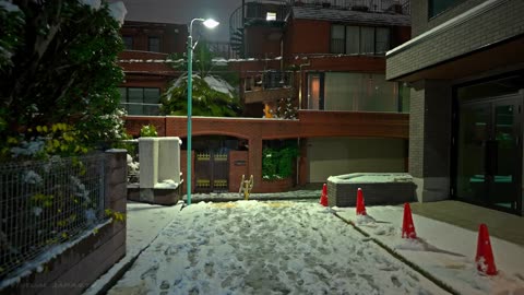 Tokyo Frosty Nights: Snowy Stroll Shibuya to Shinjuku Winter Odyssey