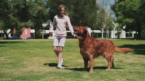 A Woman Training Her Dog in the Park, MUST watch !