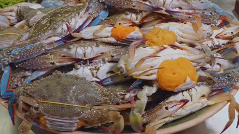 Why Pregnant Blue Crabs are Worth More: Explained