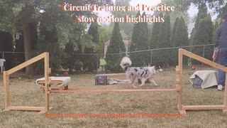 Circuit Training and Practice 091224 slow motion highlights 5