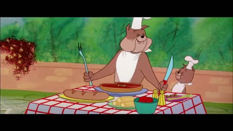 Tom and Jerry Funny Video