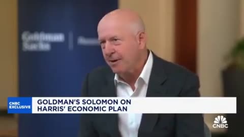 Goldman Sachs CEO Downplays Firm's Report on Kamala Harris' Economic Plan