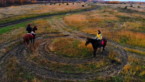 Two bay horses with equestrians are going in circle on the field