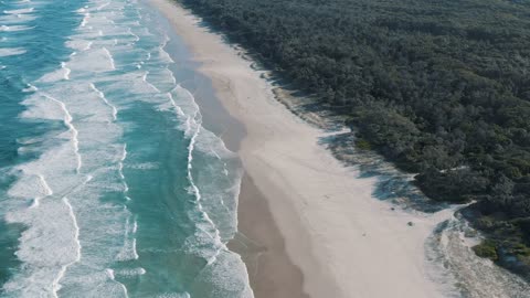 Waves, Land, Forest in One shot # beautiful landscape