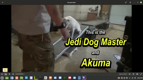 Christopher Clugston. Jedi Master? Would You Hire This Guy To Train Your Dog?