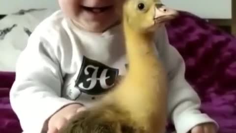 Cute baby playing with duck 😂