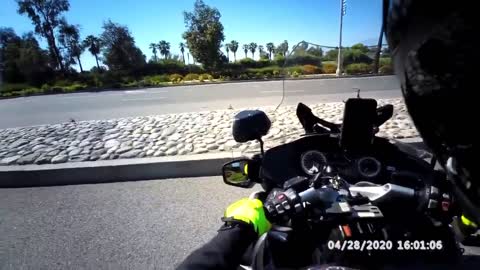 Police Officer rescues duckling attempting to cross the highway