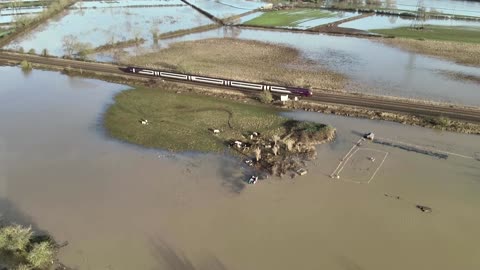 Horses rescued from UK floodwaters