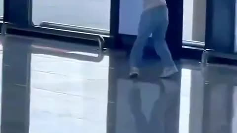 Boar Runs Through Mall