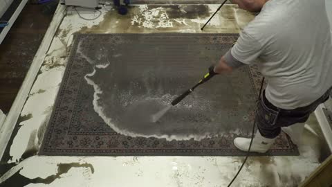 Disgusting, Children's Rug Restoration