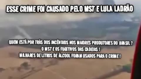 Vocês perderam: Temos provas, vídeos e áudios que foi lula,mst e criminosos fugitivos que estão por trás disso, executem esses filhos da puta !