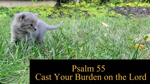 Psalm 55 - ESV Audio