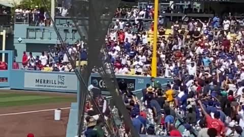 Dodgers Ball Girl Tackles Unruly Fan Security Couldn’t Catch