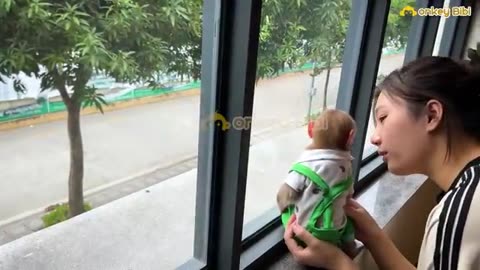 super cute baby monk