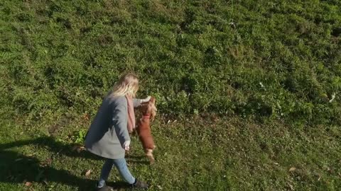 The girl plays with dog outdoors on green grass