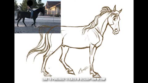 HORSE DRAWING