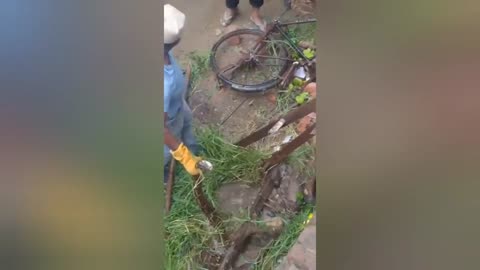 Enormous python found outside family's home in India