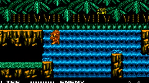 Werewolf_ The Last Warrior (NES)