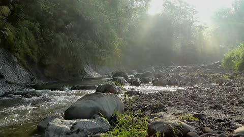 Real river water sounds - no music - relax and meditate in your sleep