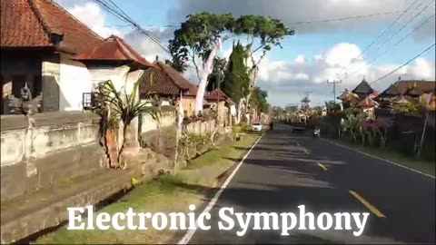 Electronic Symphony