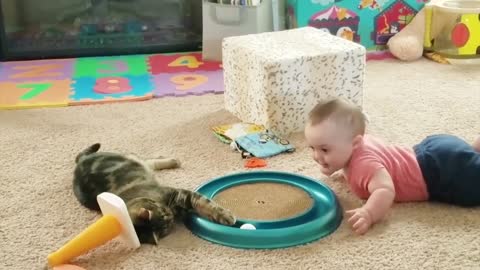 When two funny creatures meet each other | Cats and Kids funny Babies Video