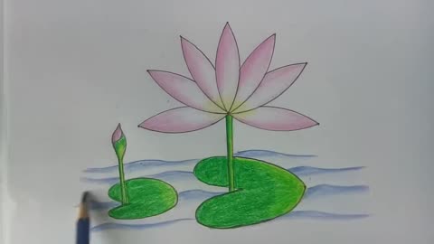 How to draw water lily step by step ( very easy) __ drawing __ art video