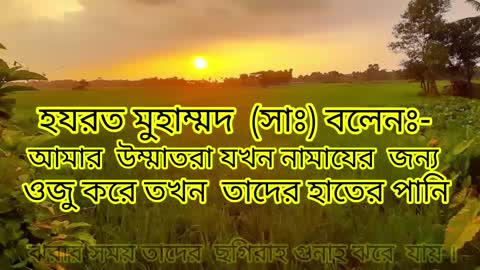 সুবহানাল্লাহ্ । Islamic gojol। Islamic song। Islamic status। Islamic waz । Islamic video