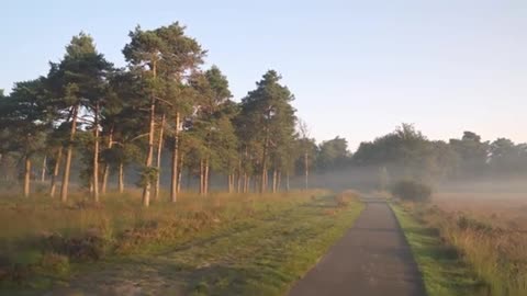 Morning - Sunrise - Nature - Drone