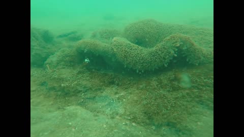 The Underwater World of Cambodia