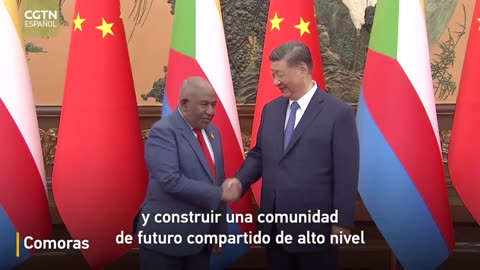 Trazar un nuevo plan de cooperación China-África en la nueva era