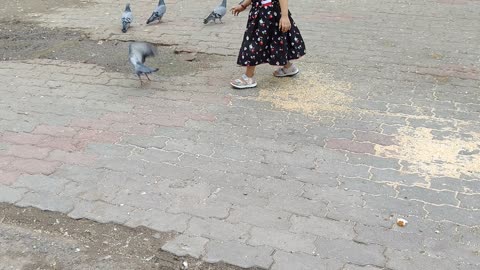 BABY PLAYING WITH PIGEONS