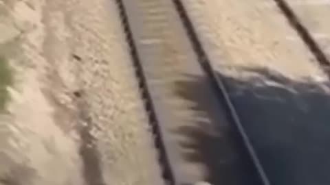 Man Saves Dog From Train