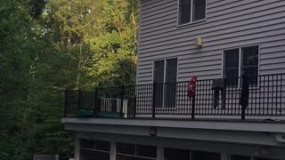 Professional Athlete Skates off Roof into Swimming Pool