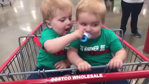 Best Video of Funny twin babies