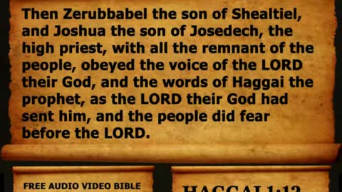 Bible Book 37. Haggai Complete 1-2, King James Version (KJV) Read Along Bible