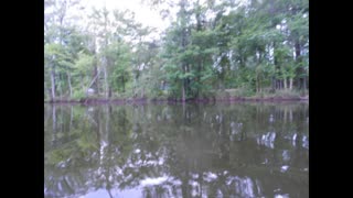 Taking the Kiddos canoeing