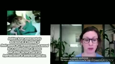 Monkey-human hybrids are real‼️